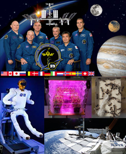 ISS Mar-Apr 2014
